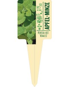 Mentha rot. 'Bowles', Bildstecketikett VS: