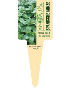 Mentha spicata var. hispanica, Bildstecketikett VS: