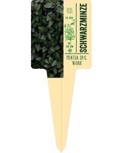 Mentha spicata 'Nigra', Bildstecketikett VS: