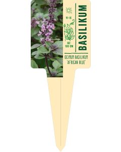 Ocimum 'African Blue', Bildstecketikett VS: