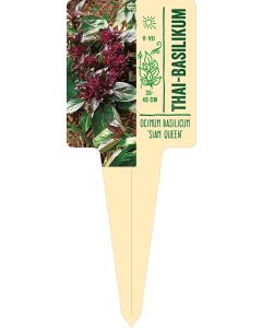 Ocimum basilicum 'Siam Queen', Bildstecketikett VS: