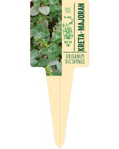 Origanum dictamnus, Bildstecketikett VS: