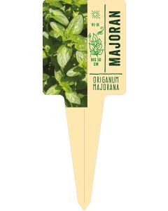 Origanum majorana, Bildstecketikett VS: