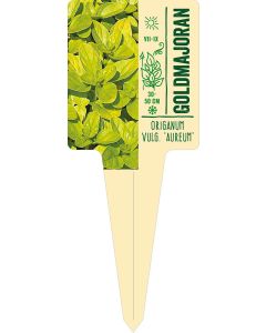 Origanum vulgare Aureum, ildstecketikett VS:
