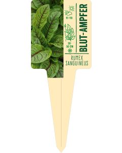 Rumex sanguineus, Bildstecketikett VS: