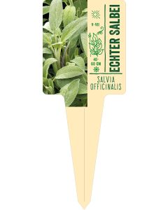 Salvia officinalis, Bildstecketikett VS: