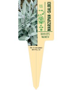 Salvia officinalis 'Nazareth', Bildstecketikett VS: