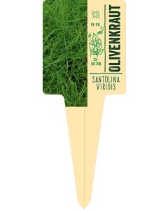 Santolina viridis, Bildstecketikett VS: