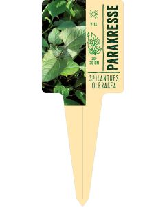 Spilanthes oleracea, Bildstecketikett VS: