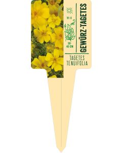Tagetes tenuifolia, Bildstecketikett VS: