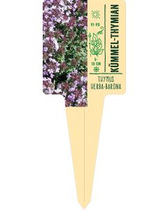 Thymus herba-barona, Bildstecketikett VS: