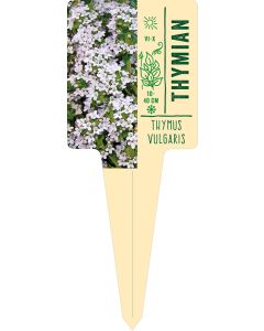 Thymus vulgaris, Bildstecketikett VS:
