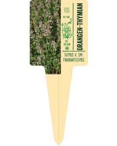 Thymus v. spp. fragrantissimus, Bildstecketikett VS: