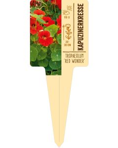 Tropaeolum 'Red Wonder', Bildstecketikett VS: