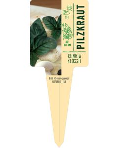 Rungia klossii, Bildstecketikett VS: