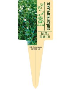 Bacopa monnieri, Bildstecketikett VS: