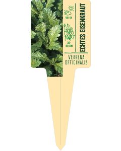 Verbena officinalis, Bildstecketikett VS: