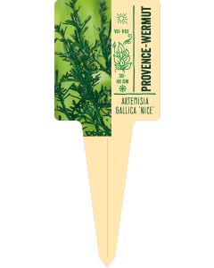 Artemisia gallica 'Nice', Bildstecketikett VS: