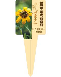 Berlandiera lyriata, Bildstecketikett VS: