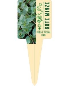 Mentha x smithiana 'Rubra', Bildstecketikett VS:
