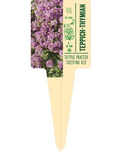 Thymus praecox 'Creeping Red', Bildstecketikett VS: