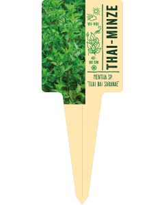 Mentha sp. 'Thai Bai Saranae', Bildstecketikett VS: