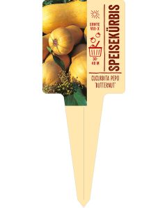 Cucurbita pepo 'Butternut', Bildstecketikett VS: