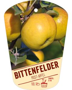 Malus domestica 'Bittenfelder', Bildhängeetikett VS: