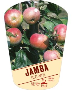 Malus domestica Jamba, Bildhängeetikett VS: