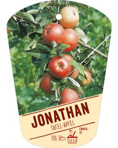Malus domestica 'Jonathan', Bildhängeetikett VS:
