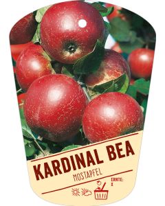 Malus domestica 'Kardinal Bea', Bildhängeetikett VS: