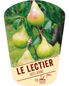 Pyrus communis 'Le Lectier', Bildhängeetikett VS: