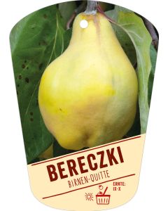 Cydonia oblonga 'Bereczki-Quitte', Bildhängeetikett VS: