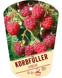 Rubus idaeus 'Korbfüller', Bildhängeetikett VS: