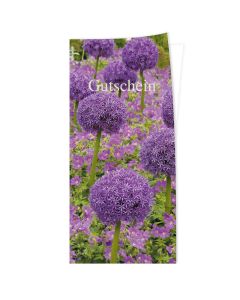 Gutschein Allium