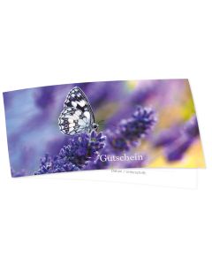 Gutschein Schmetterling