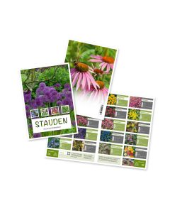 Bild Prospekt - Stauden Vielseitige Erlebniswelt