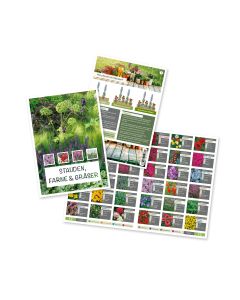 Prospekt Stauden, Farne, Gräser