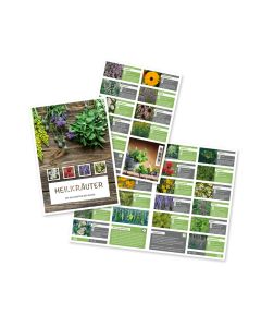 Prospekt Heilkräuter