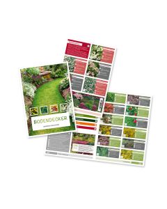 Prospekt Bodendecker