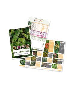 Prospekt - Kletter Künstler Sichtschutz und Dekoration