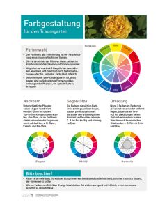 Infoposter Traumgarten