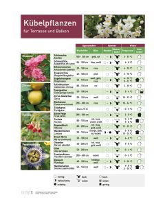 Infoposter Kübelpflanzen