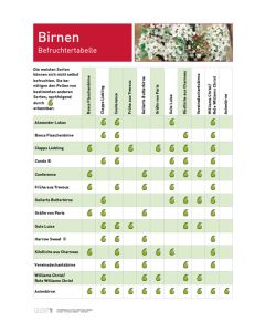 Infoposter Birnen