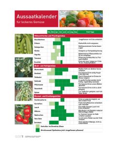 Infoposter Gemüse