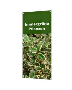 Banner "Immergrüne Pflanzen" mit Ösen