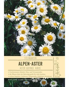 Sortenschild, Aster alpinus 'Albus'