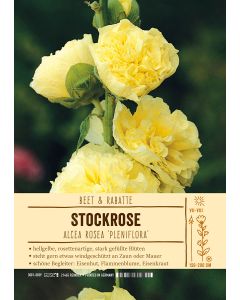 Sortenschild, Alcea rosea 'Pleniflora'