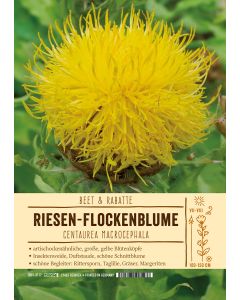 Sortenschild, Centaurea macrocephala