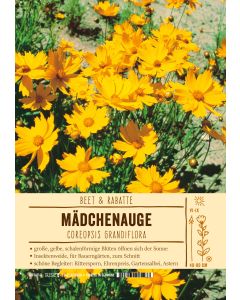 Sortenschild, Coreopsis grandiflora